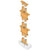 Three story system of threaded rod and coupler nuts installed 