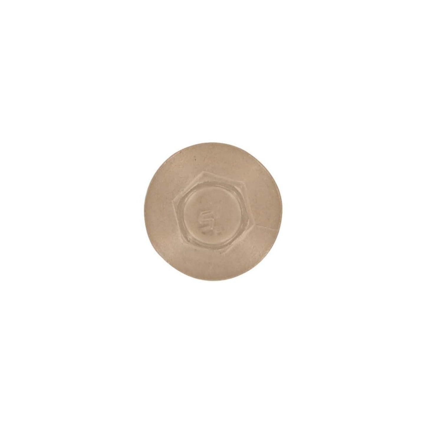 #10 x 1 inch SS Woodbinder Metal Roofing Screw Tan Pkg 250 image 2 of 2