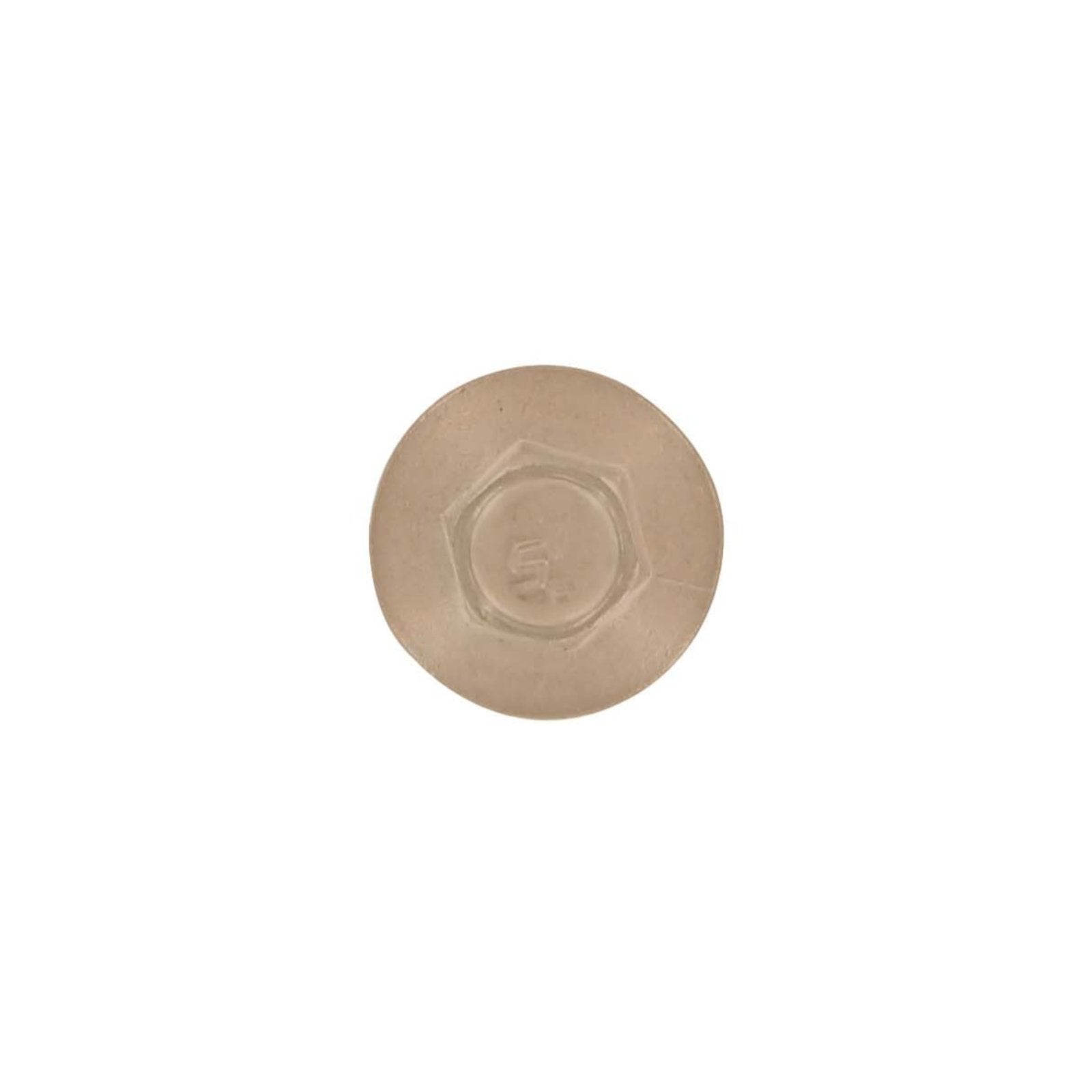 #10 x 1 inch SS Woodbinder Metal Roofing Screw Tan Pkg 250 image 2 of 2