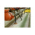 Simpson Strong-Tie Strong Bolt 2 Wedge Anchor Installed