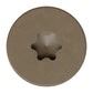 T20 6-Lobe - Pancake Head - Brown 05