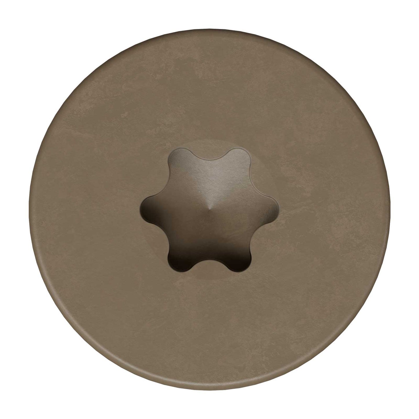 T20 6-Lobe - Pancake Head - Brown 05