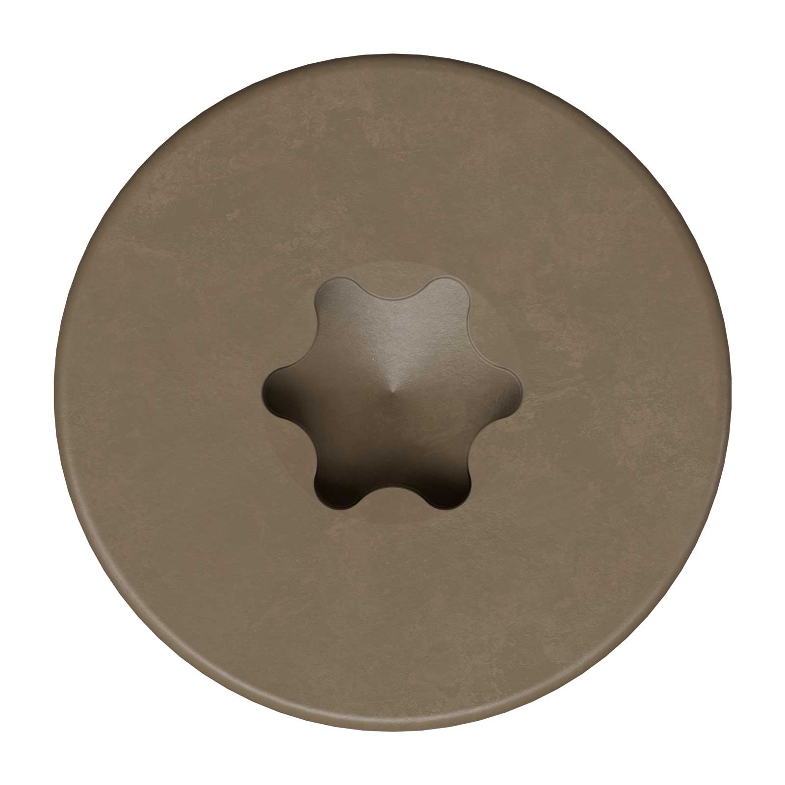 T20 6-Lobe - Pancake Head - Brown 05