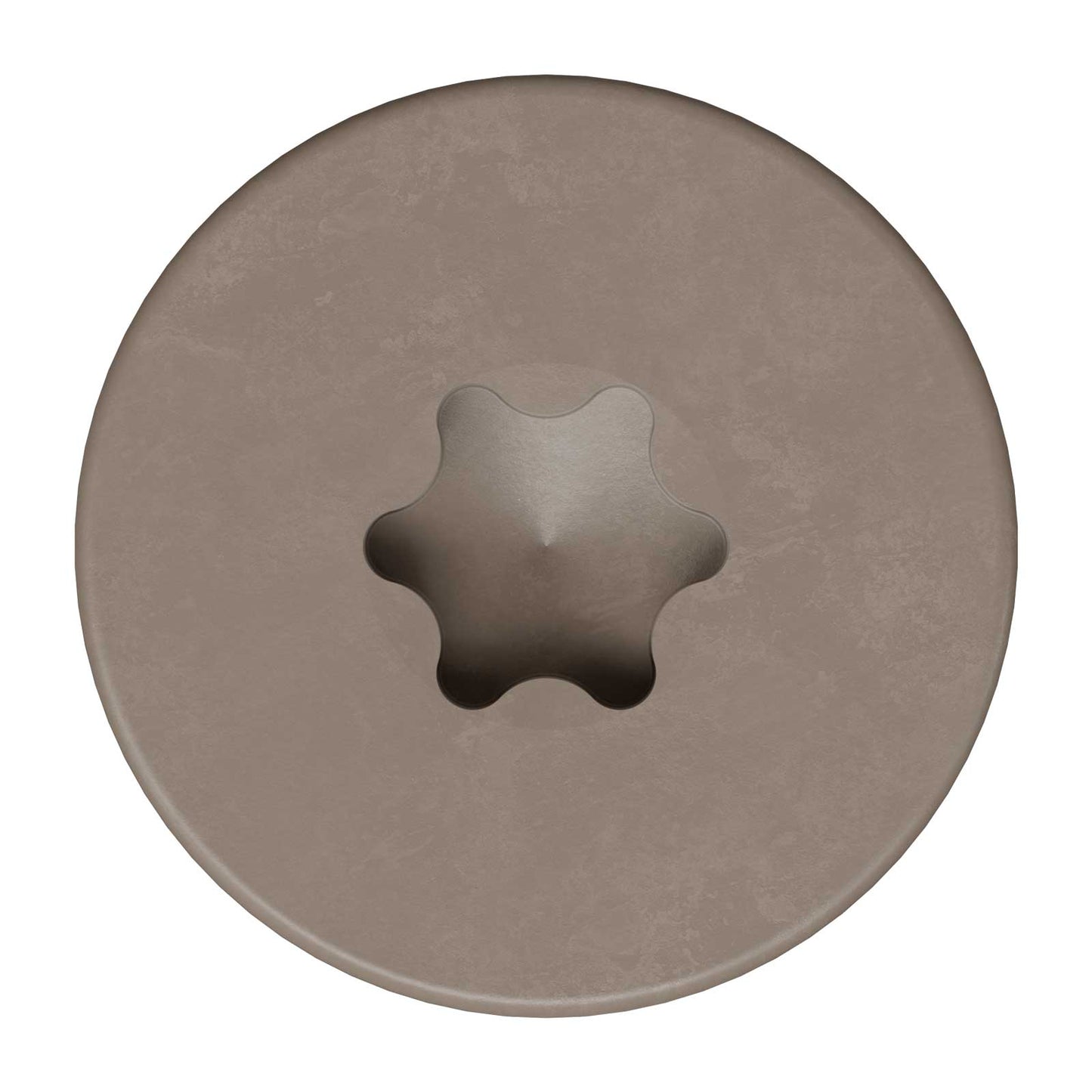 T20 6-Lobe - Pancake Head - Gray 01