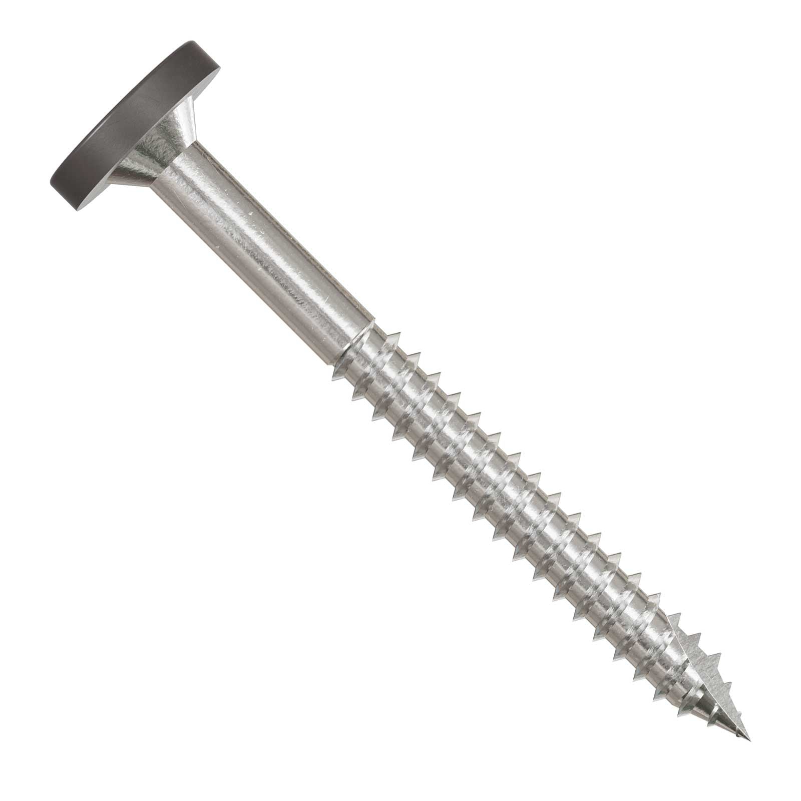 Metal screw with a gray head and threading on a white background