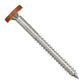 Metal screw with a tan head on a white background