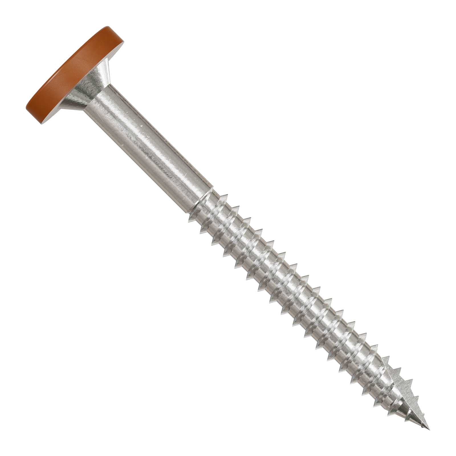 Metal screw with a tan head on a white background