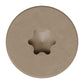 T20 6-Lobe - Pancake Head - Tan 02