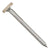 Metal screw with a tan head and coarse thread on a white background