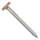 Metal screw with a tan head on a white background