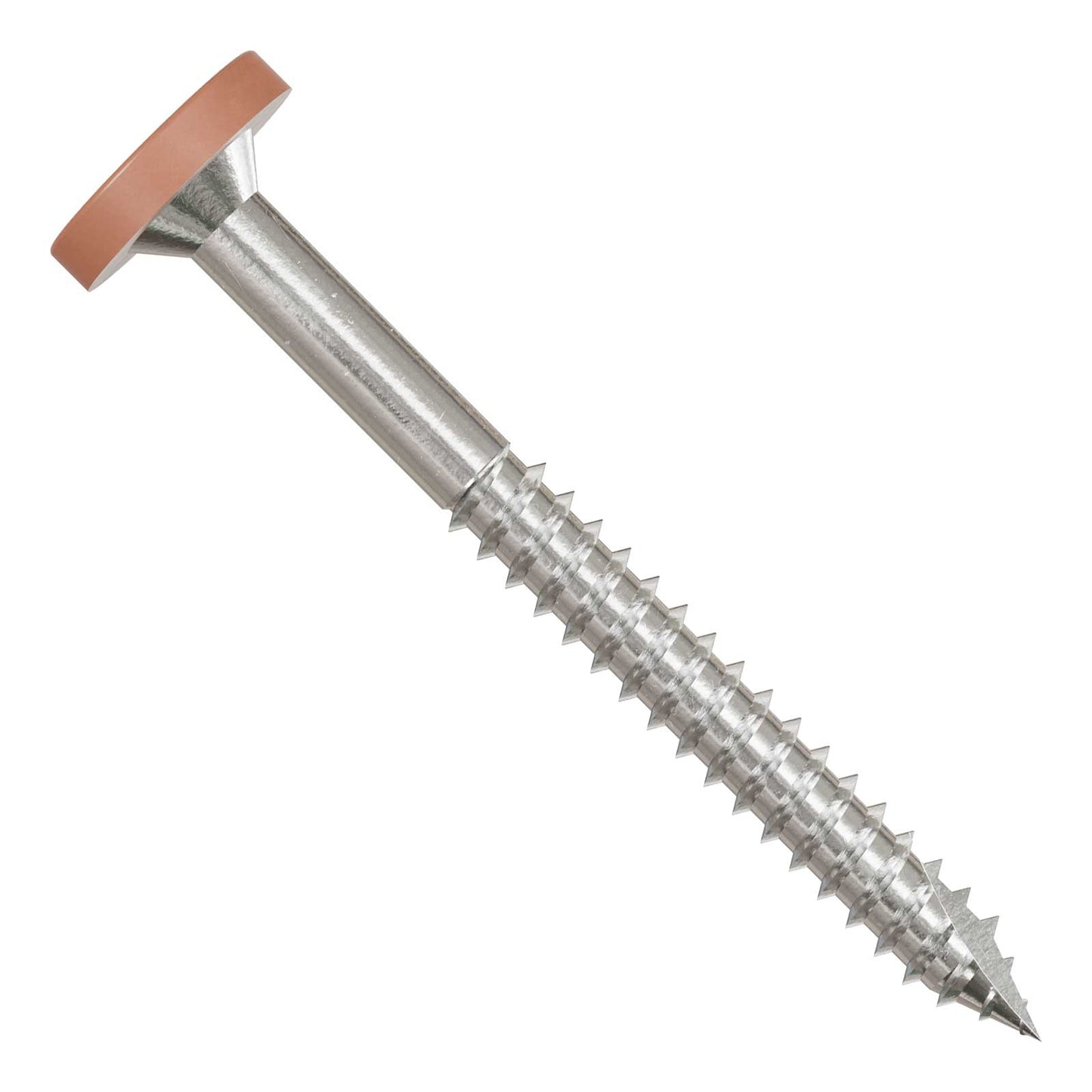 Metal screw with a tan head on a white background