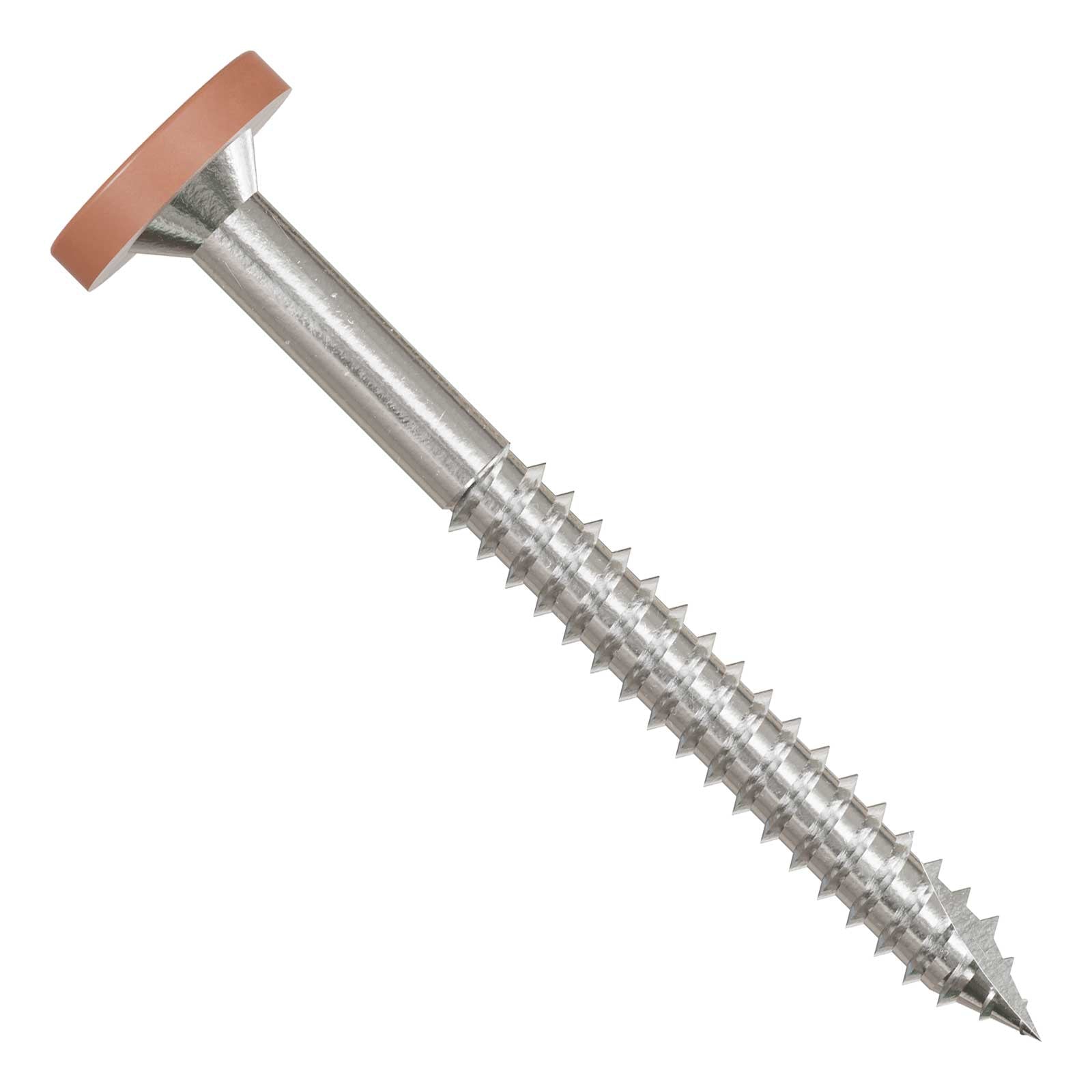 Metal screw with a tan head on a white background