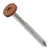 Metal screw with a tan head on a white background