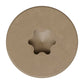 T20 6-Lobe - Pancake Head - Tan