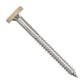 Metal screw with a tan head on a white background