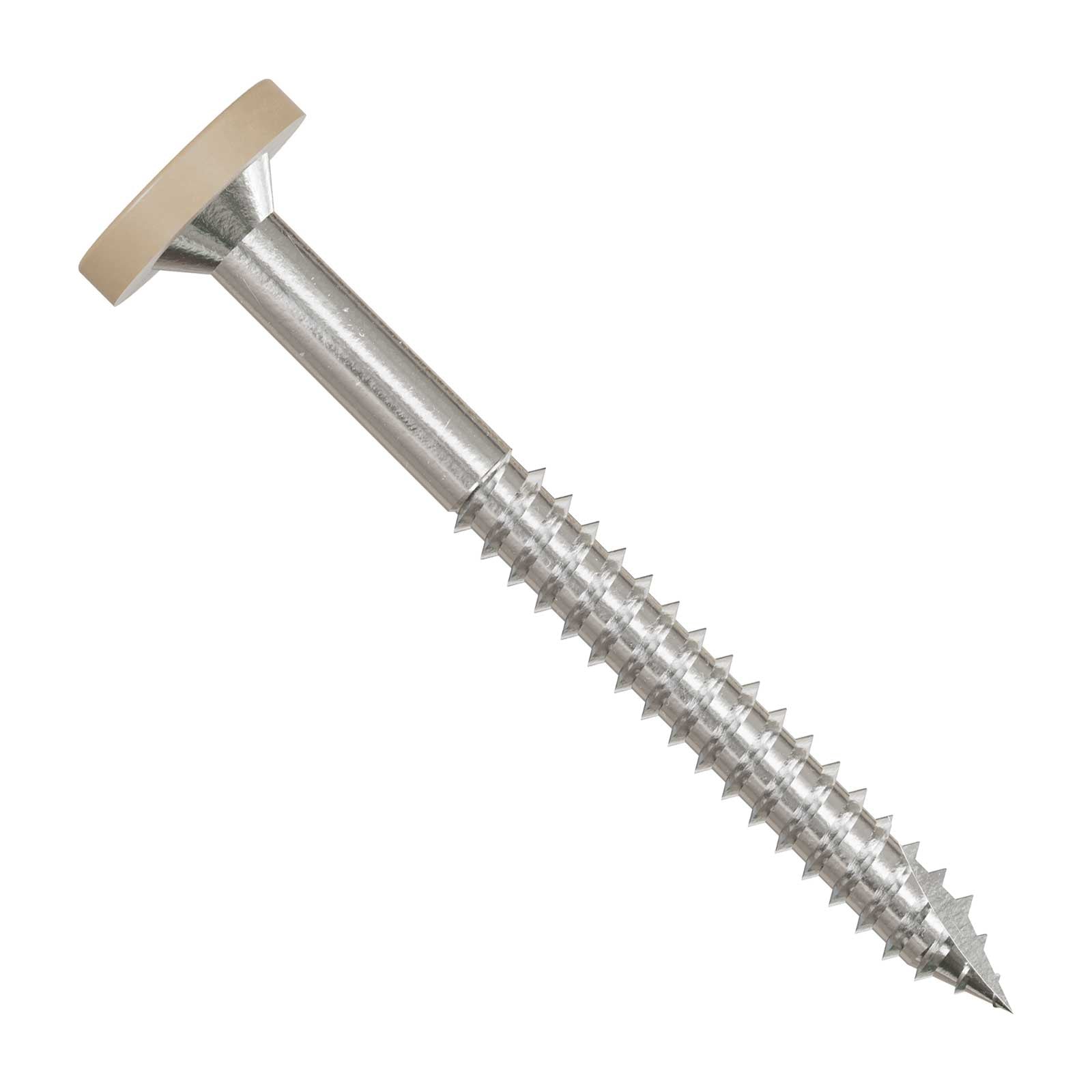 Metal screw with a tan head on a white background