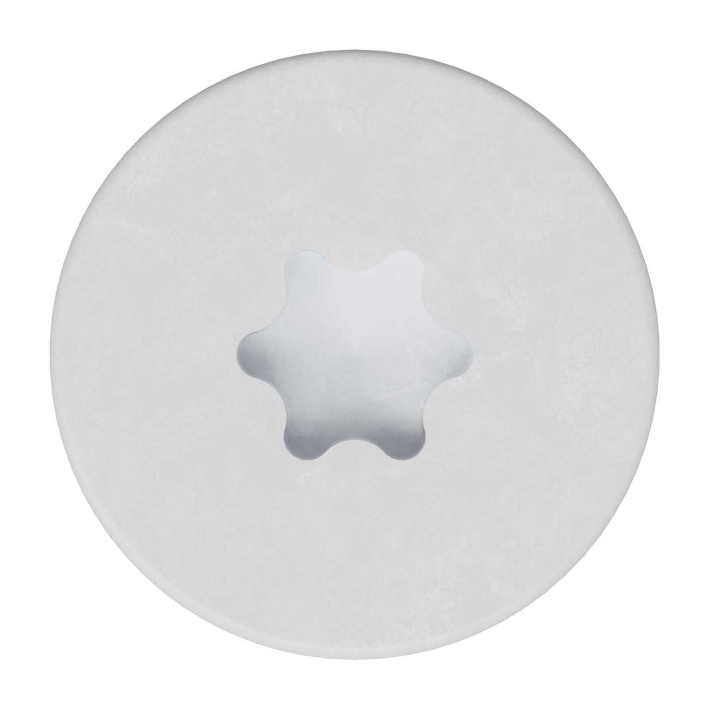 T20 6-Lobe - Pancake Head - White 01