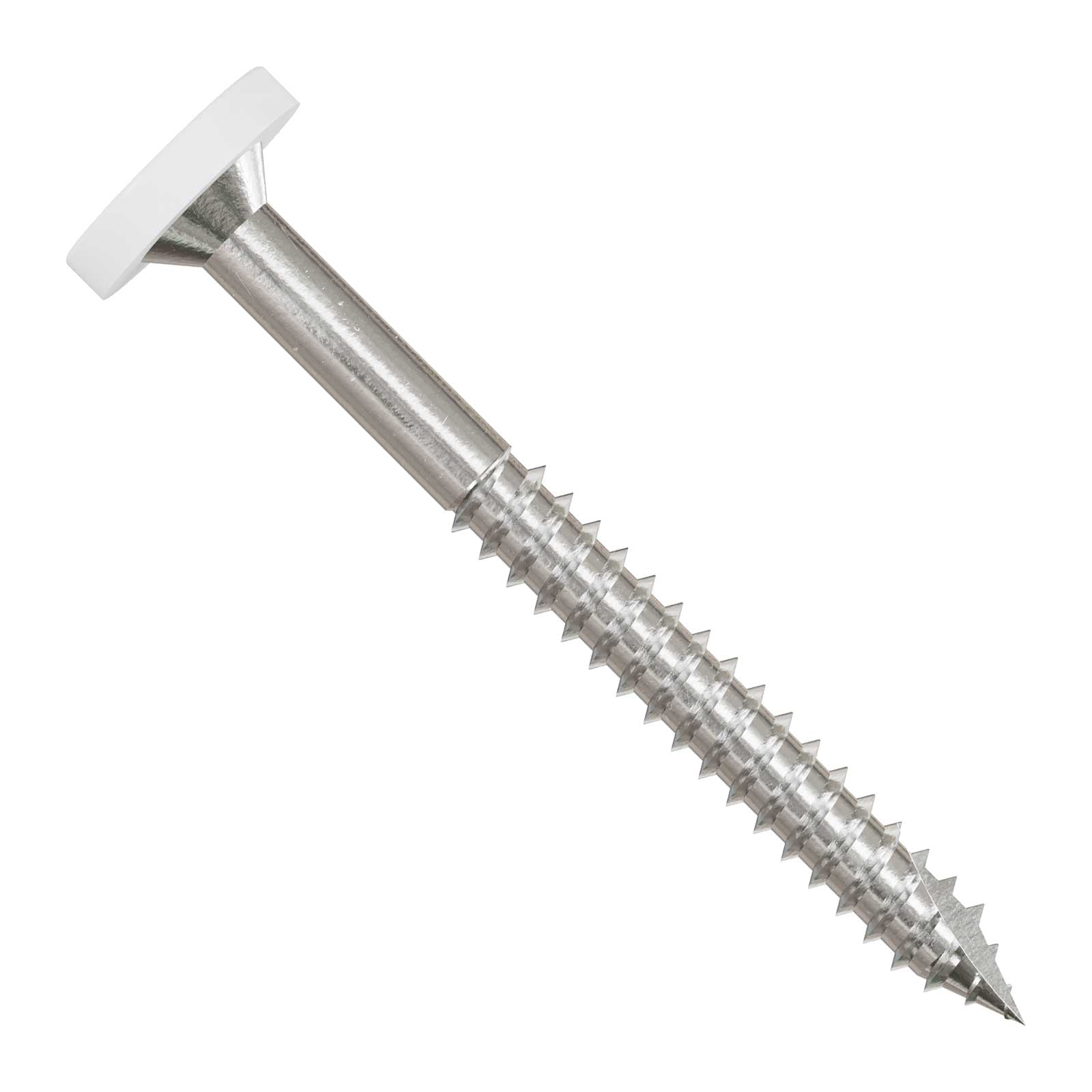 Metal screw with a white head on a white background