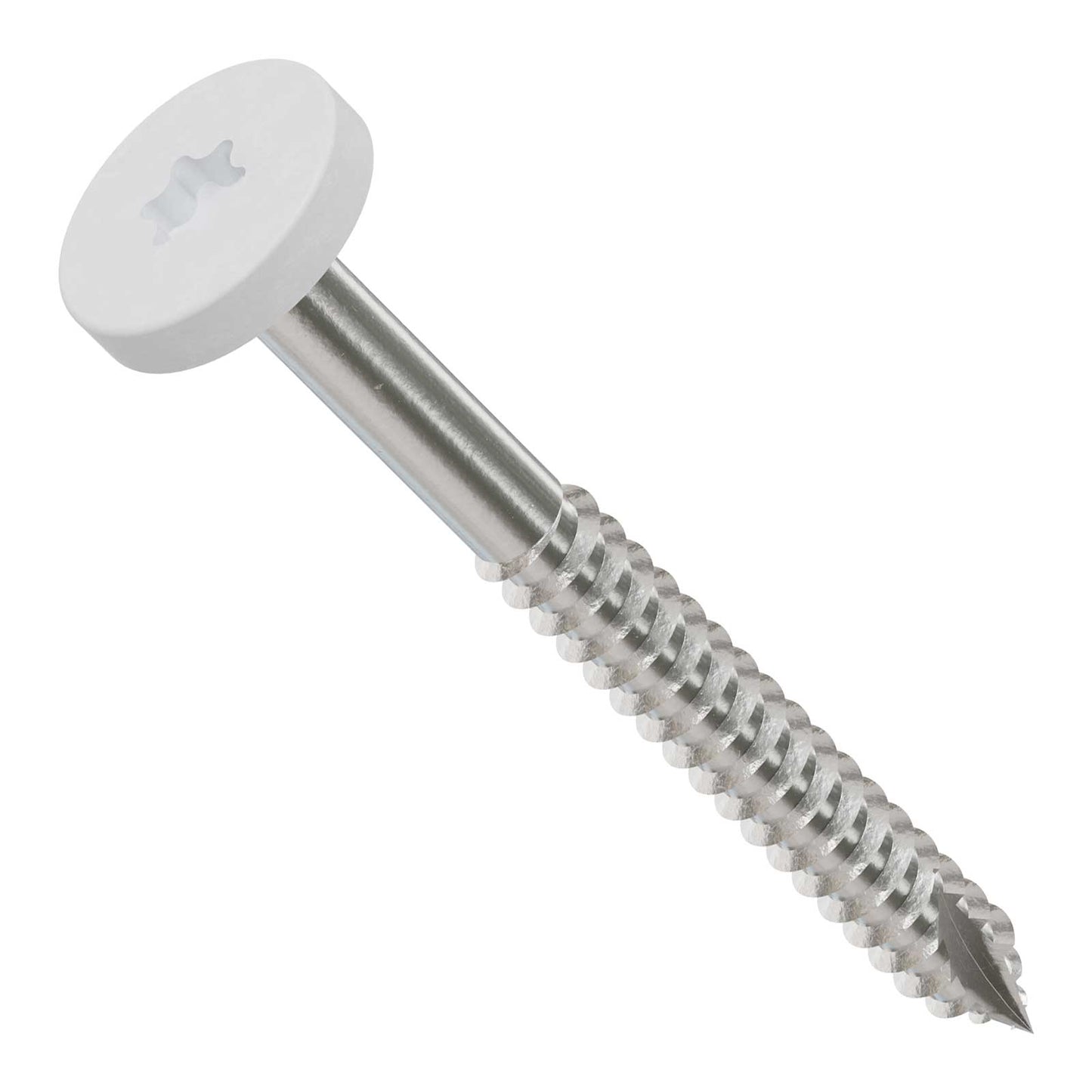 Metal screw with a white head on a white background