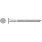 Premium Common Nails 316 Stainless Steel - T10AKR shown