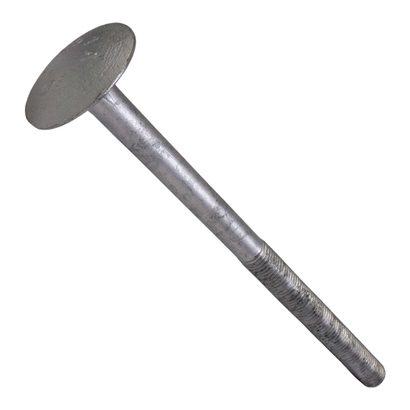 Conquest 3/4" X 14" A307 Timber Bolt - Hot Dip Galvanized