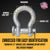 Anchor Shackle - Chicago Hardware - Round Pin - 1-3/8