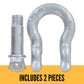 3/16" Galvanized Screw Pin Anchor Shackle - 0.35 Ton