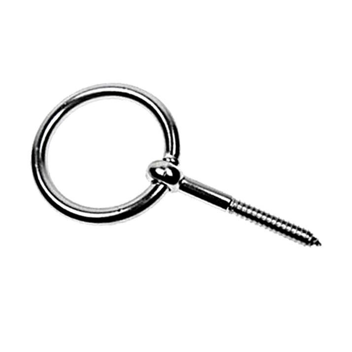 Lag Screw w/ Ring - Stainless Steel Type 304 - 1/2" x  4"