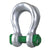 Van Beest Green Pin Bolt Type Wide Body Sling Shackle | P-6033 - 125 Ton