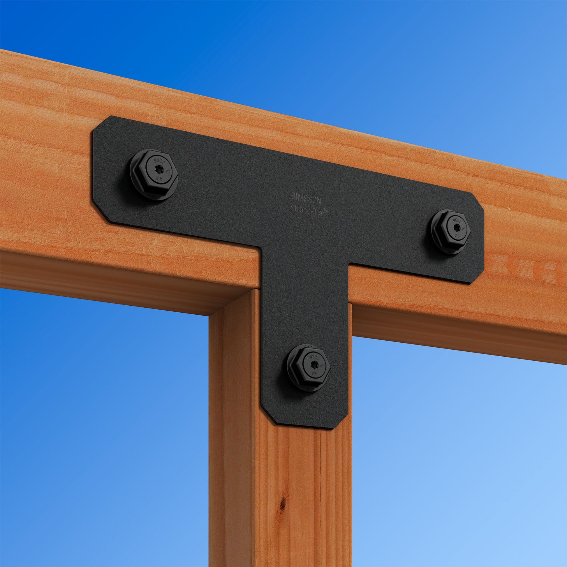 Simpson Black APVT4 Outdoor Accents With Required Hardware