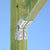 Simpson KBS1Z KneeBrace Stabilizer ZMAX Finish image 3 of 4