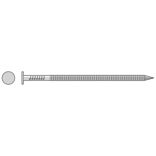 2 inch x 11 Gauge Annular Ring Shank Common Nail 304 Stainless Steel 25 lb Pkg