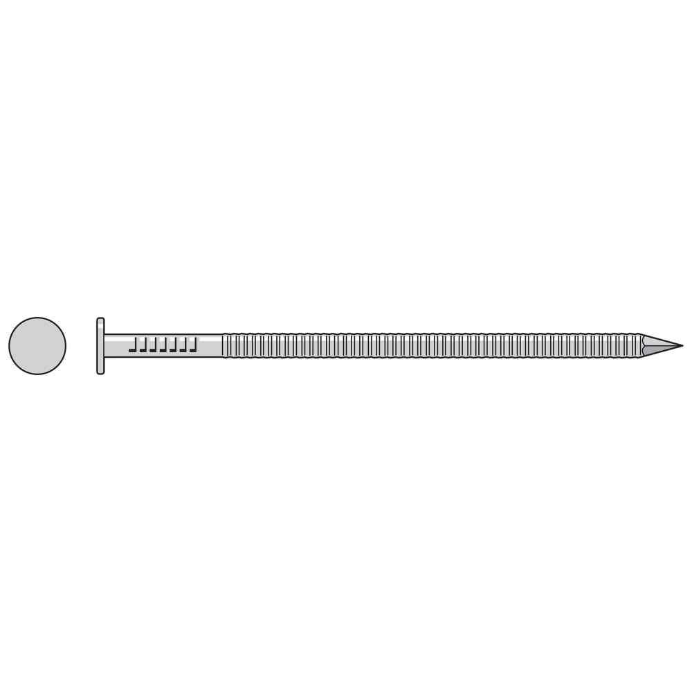 312 inch x 8 Gauge Annular Ring Shank Common Nail 316 Stainless Steel 1 lb Pkg