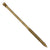 Simpson Strong-Tie Finish Trim Screw